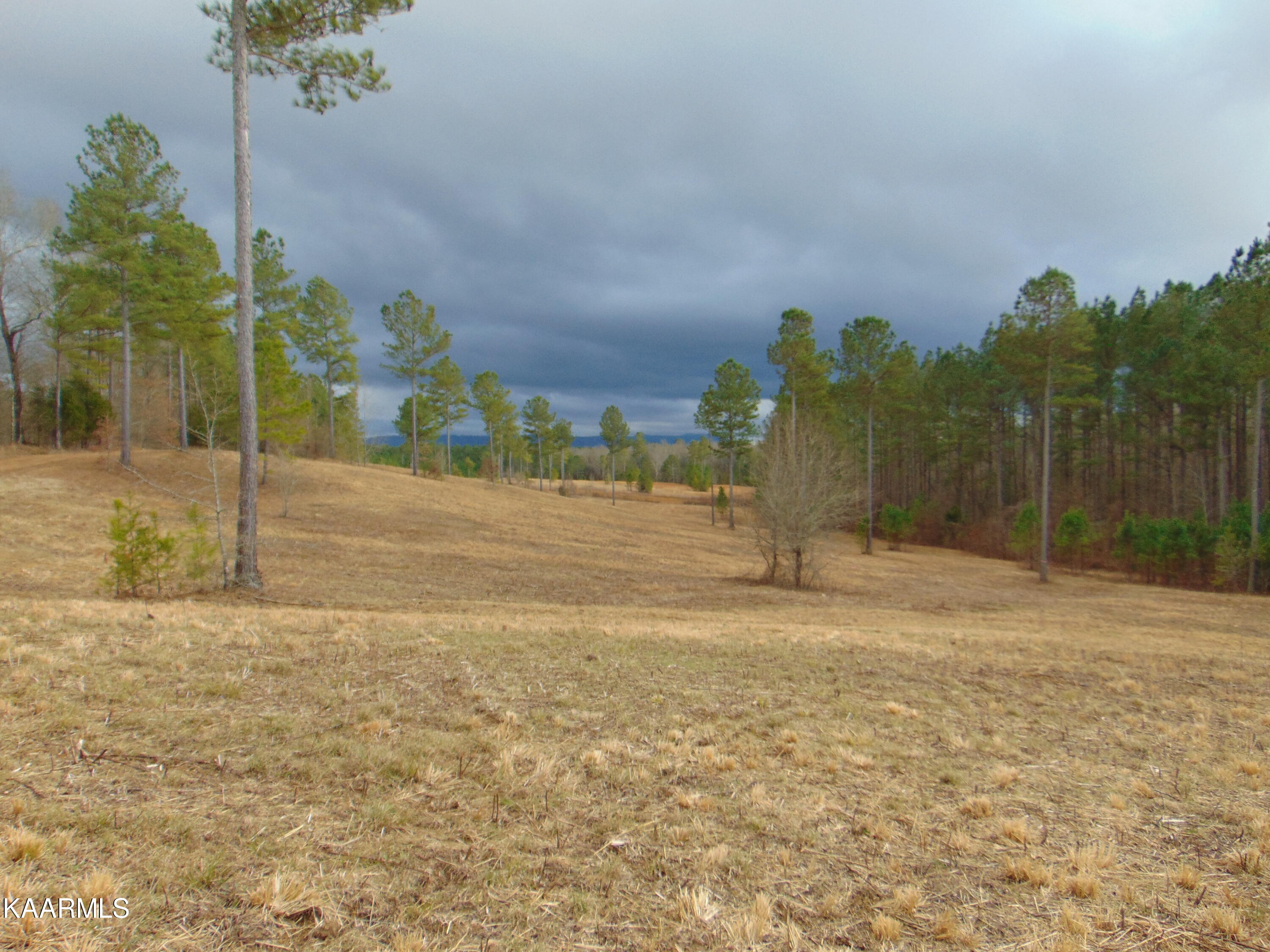 11 Athens Road Calhoun, TN 37309 - Photo 39 of 59 DSC02419