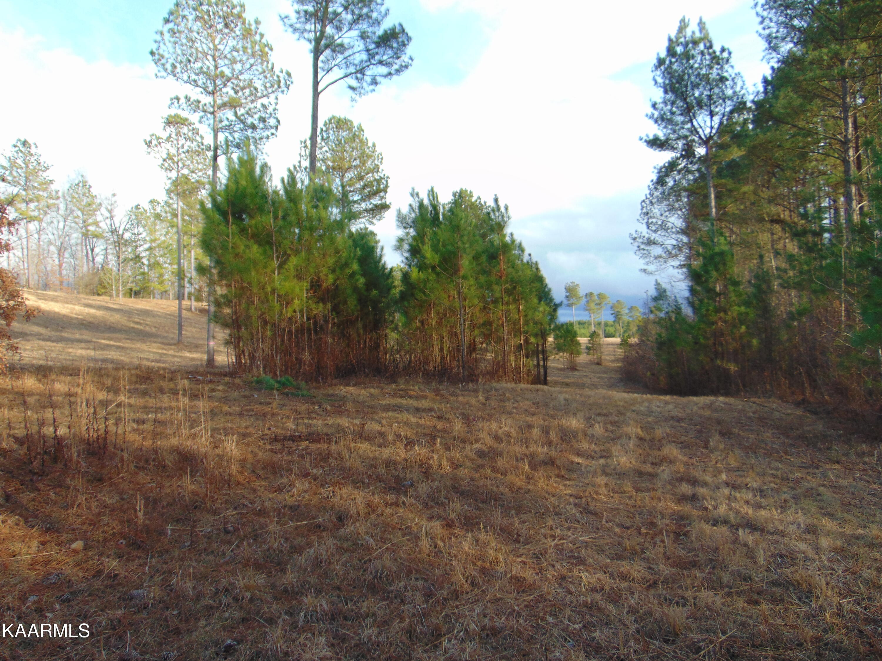 11 Athens Road Calhoun, TN 37309 - Photo 49 of 59 DSC02431