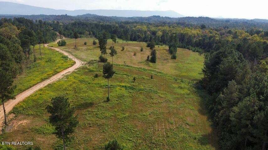 11 Athens Road Calhoun, TN 37309 - Photo 5 of 59 Tract 11 Athens Road 16