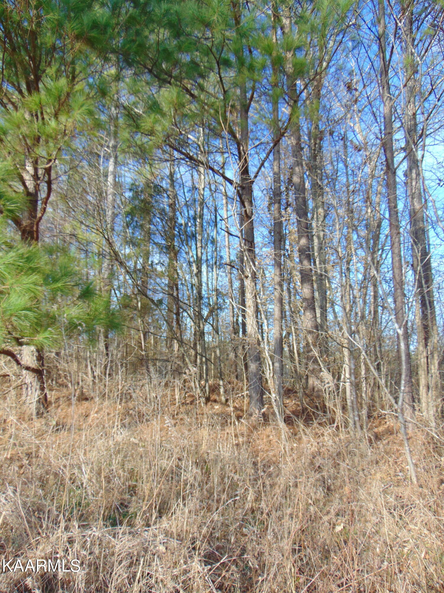 11 Athens Road Calhoun, TN 37309 - Photo 51 of 59 DSC02433
