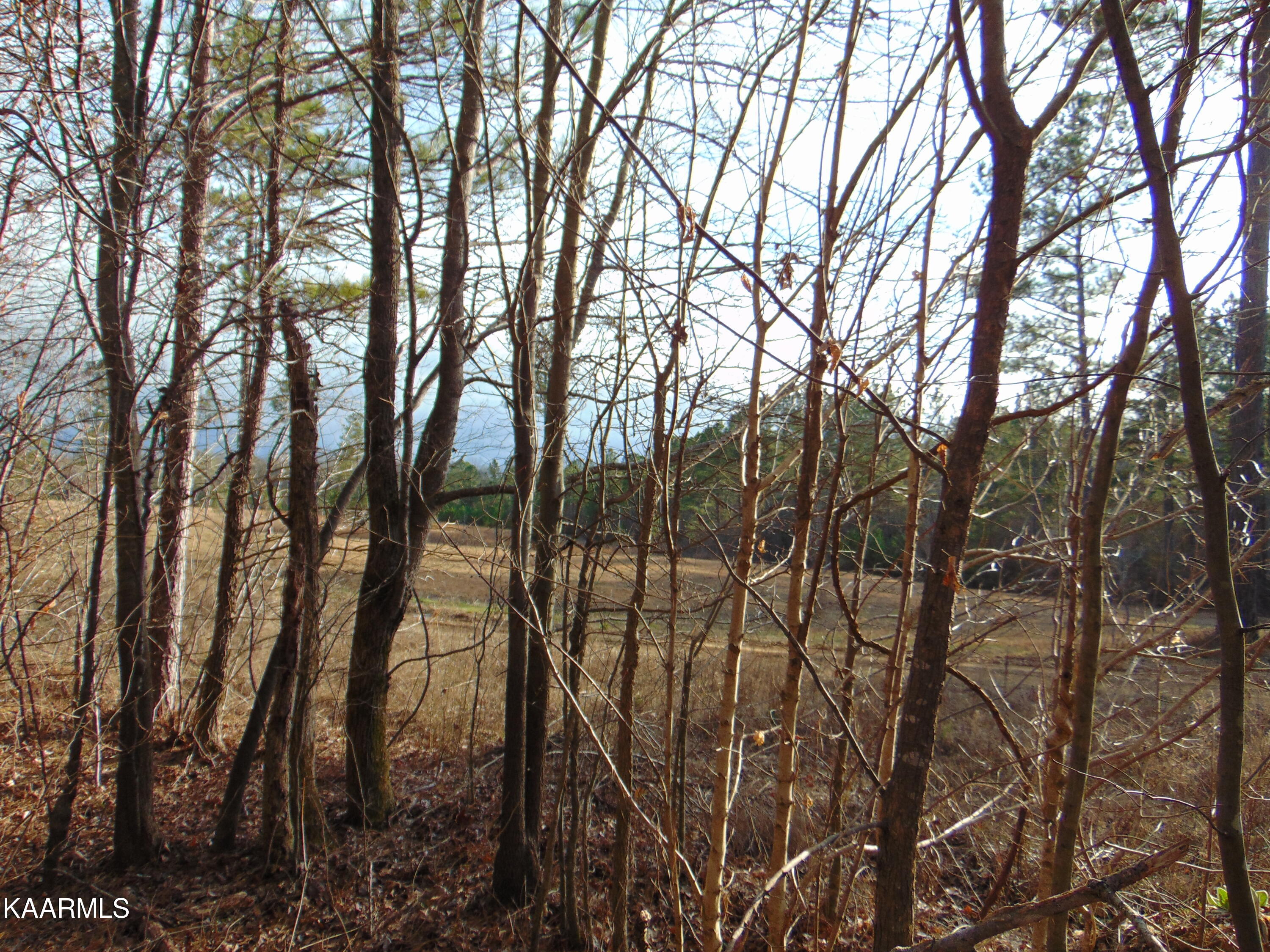 11 Athens Road Calhoun, TN 37309 - Photo 53 of 59 DSC02435