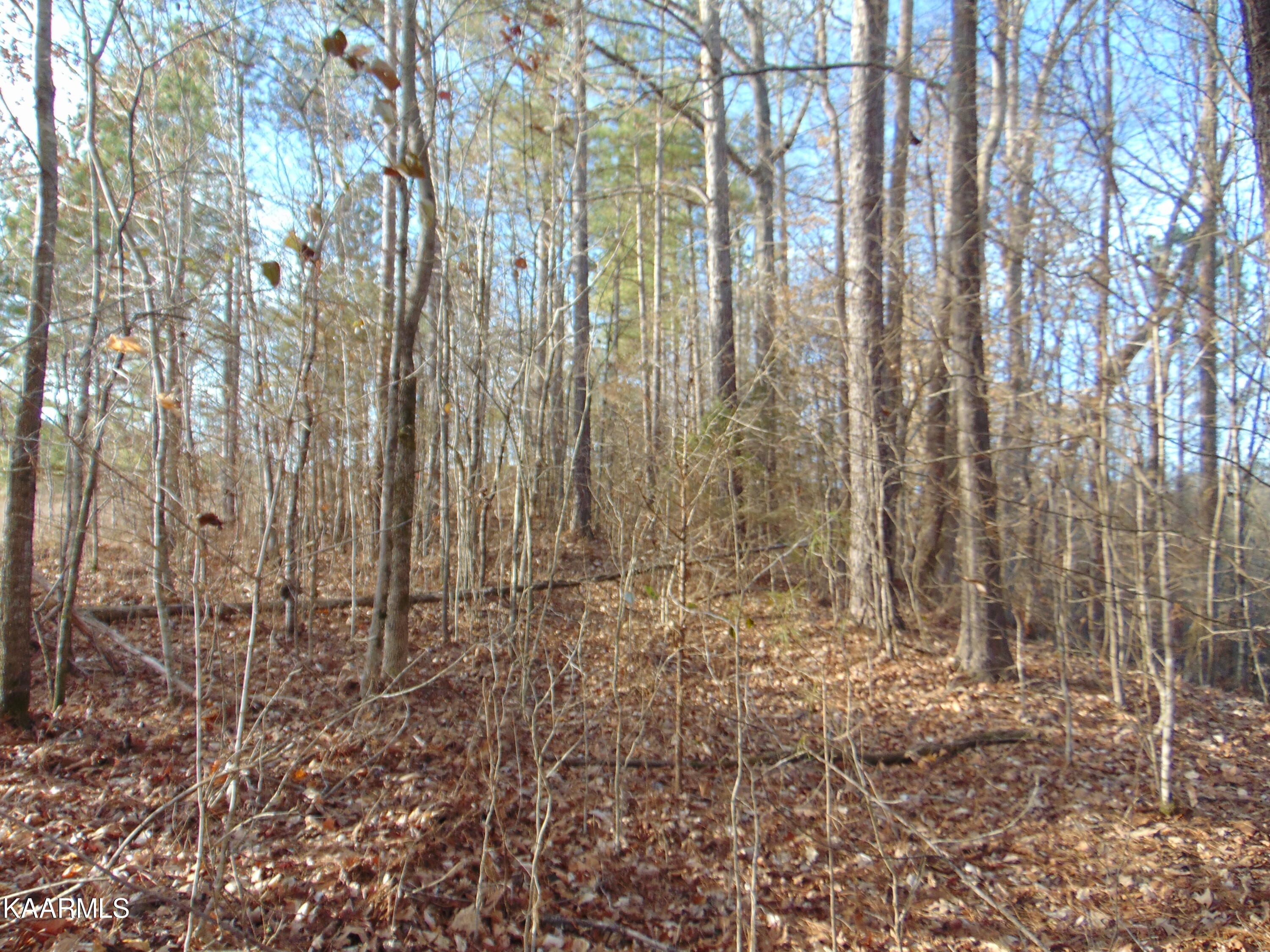 11 Athens Road Calhoun, TN 37309 - Photo 54 of 59 DSC02436