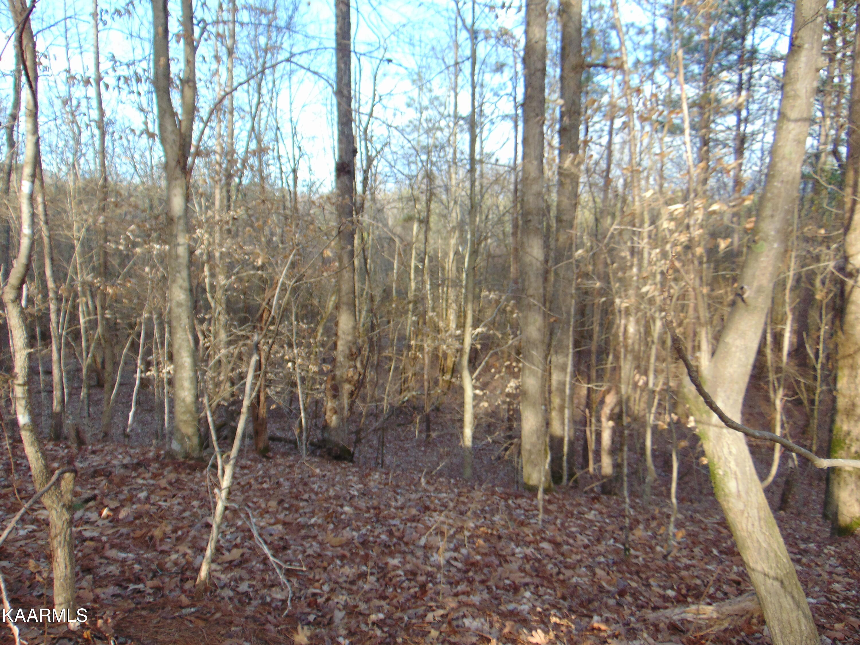 11 Athens Road Calhoun, TN 37309 - Photo 55 of 59 DSC02437