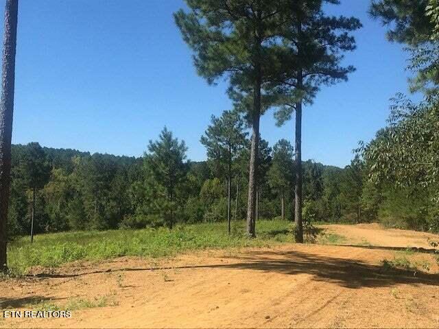 11 Athens Road Calhoun, TN 37309 - Photo 10 of 59 Tract 11 Athens Road 12