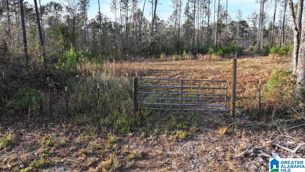 200 Kelly Creek Road Odenville, AL 35120 - Photo 16 of 47
