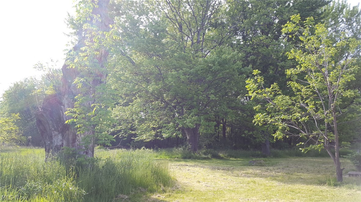 3560 Bates Road Madison, OH 44057 - Photo 7 of 35
