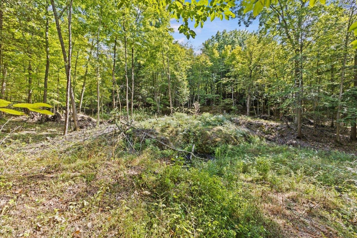 514 Red Rock Road Colchester, VT 05446 - Photo 12 of 45