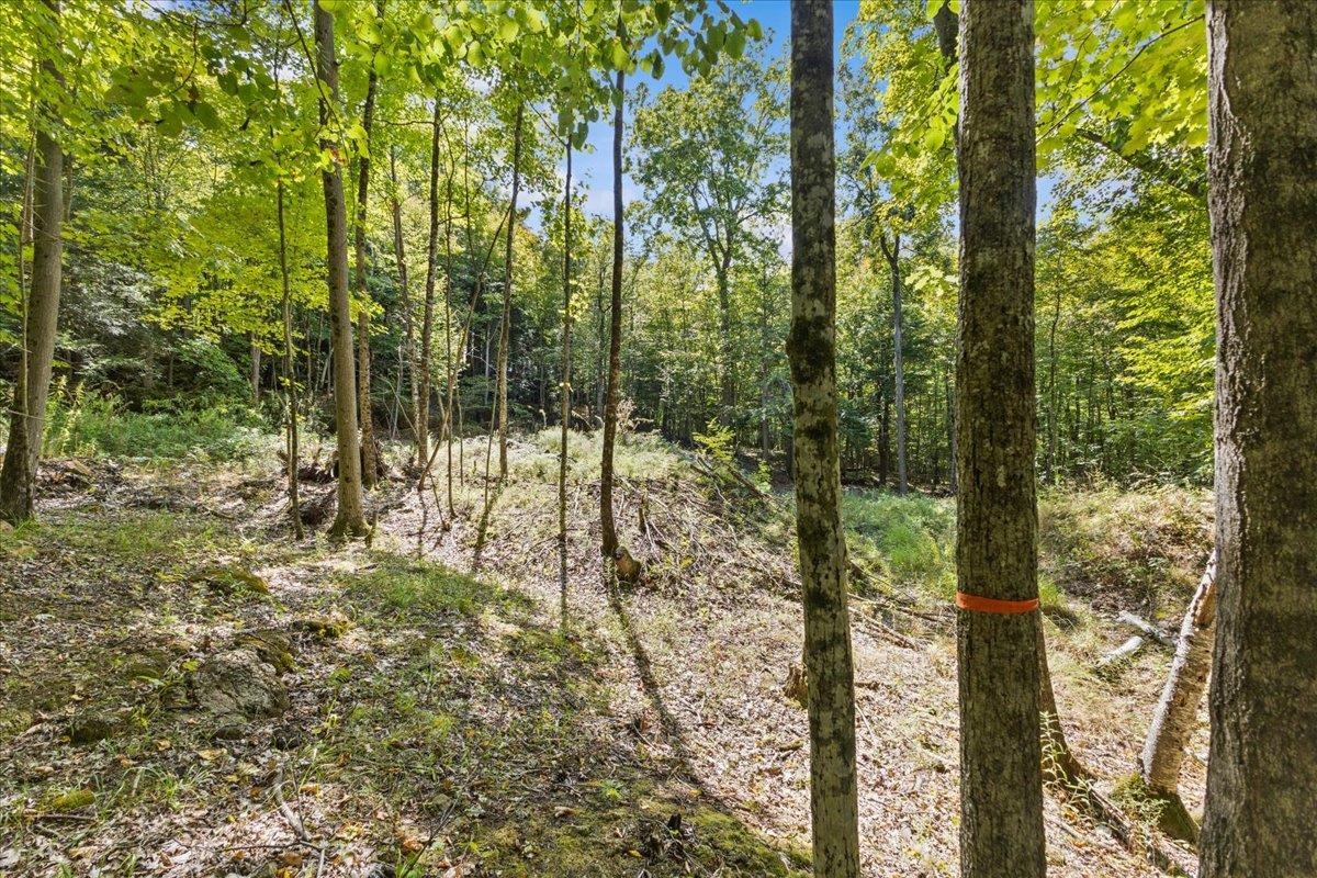 514 Red Rock Road Colchester, VT 05446 - Photo 16 of 45