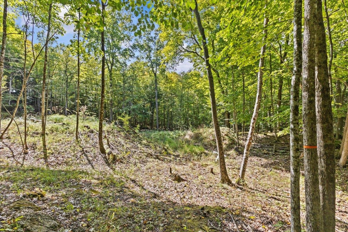 514 Red Rock Road Colchester, VT 05446 - Photo 17 of 45