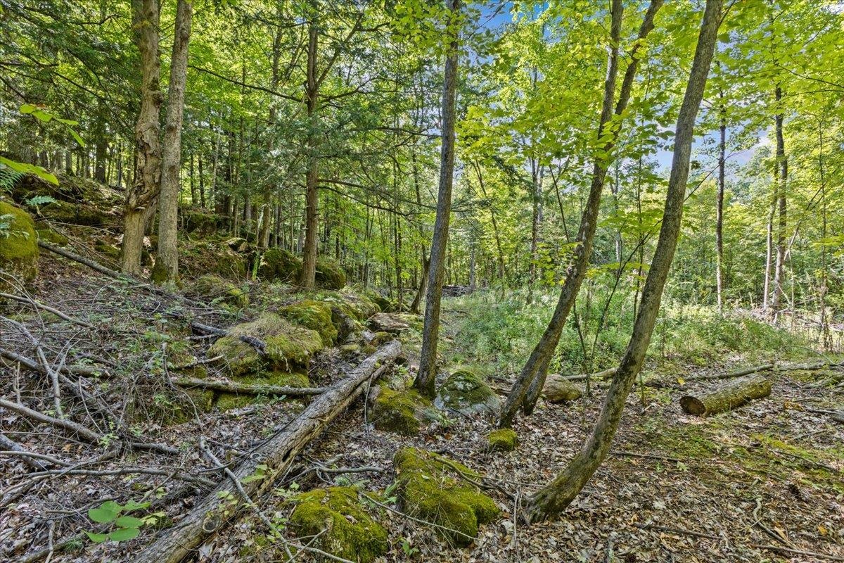 514 Red Rock Road Colchester, VT 05446 - Photo 18 of 45