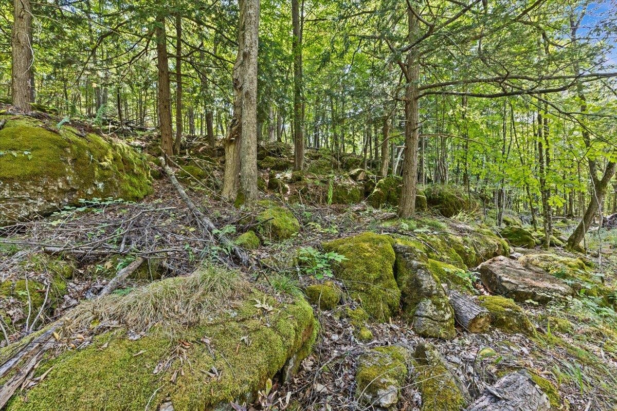 514 Red Rock Road Colchester, VT 05446 - Photo 21 of 45