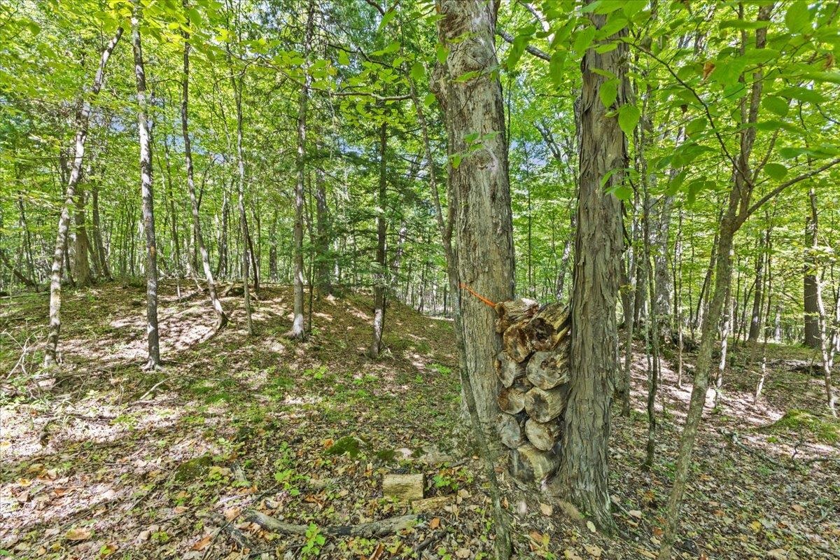 514 Red Rock Road Colchester, VT 05446 - Photo 22 of 45