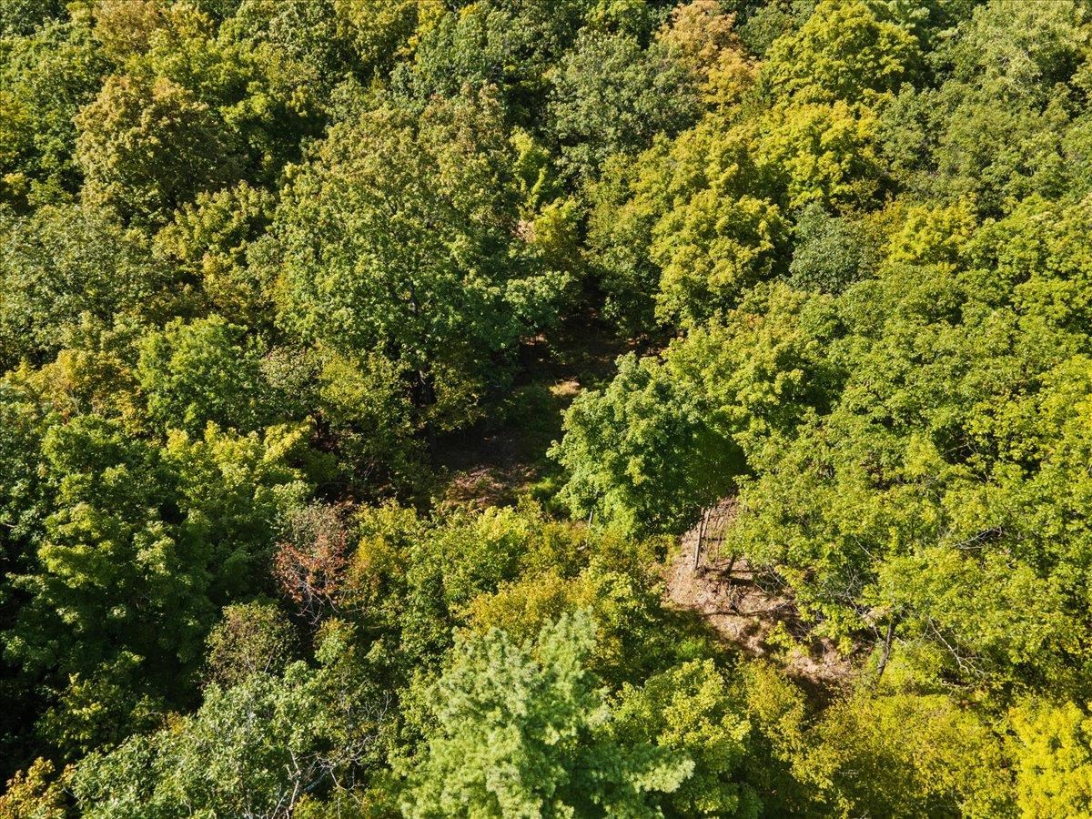 514 Red Rock Road Colchester, VT 05446 - Photo 40 of 45