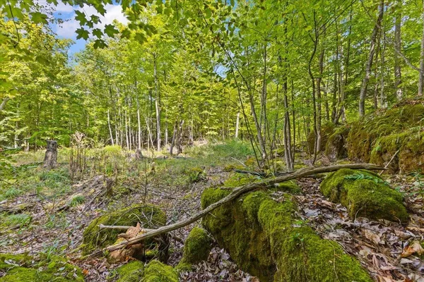$174,900 | 514 Red Rock Road, Colchester, VT 05446