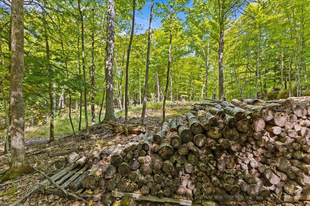 514 Red Rock Road Colchester, VT 05446 - Photo 5 of 45