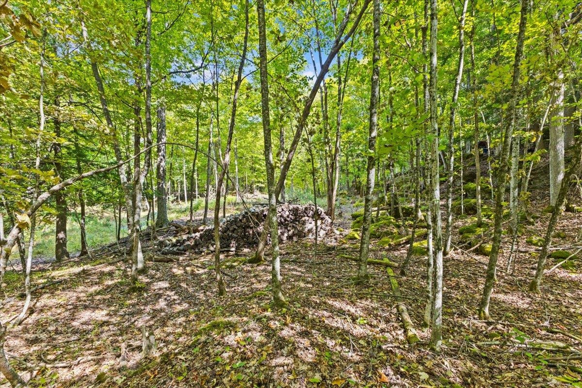 514 Red Rock Road Colchester, VT 05446 - Photo 6 of 45