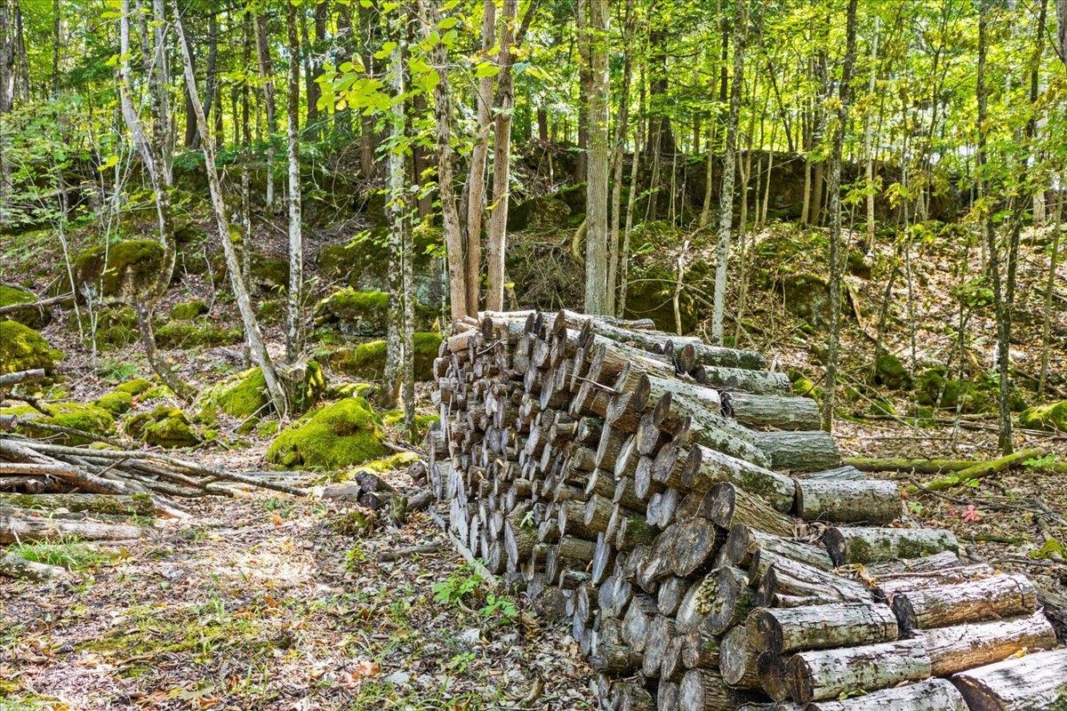 514 Red Rock Road Colchester, VT 05446 - Photo 7 of 45