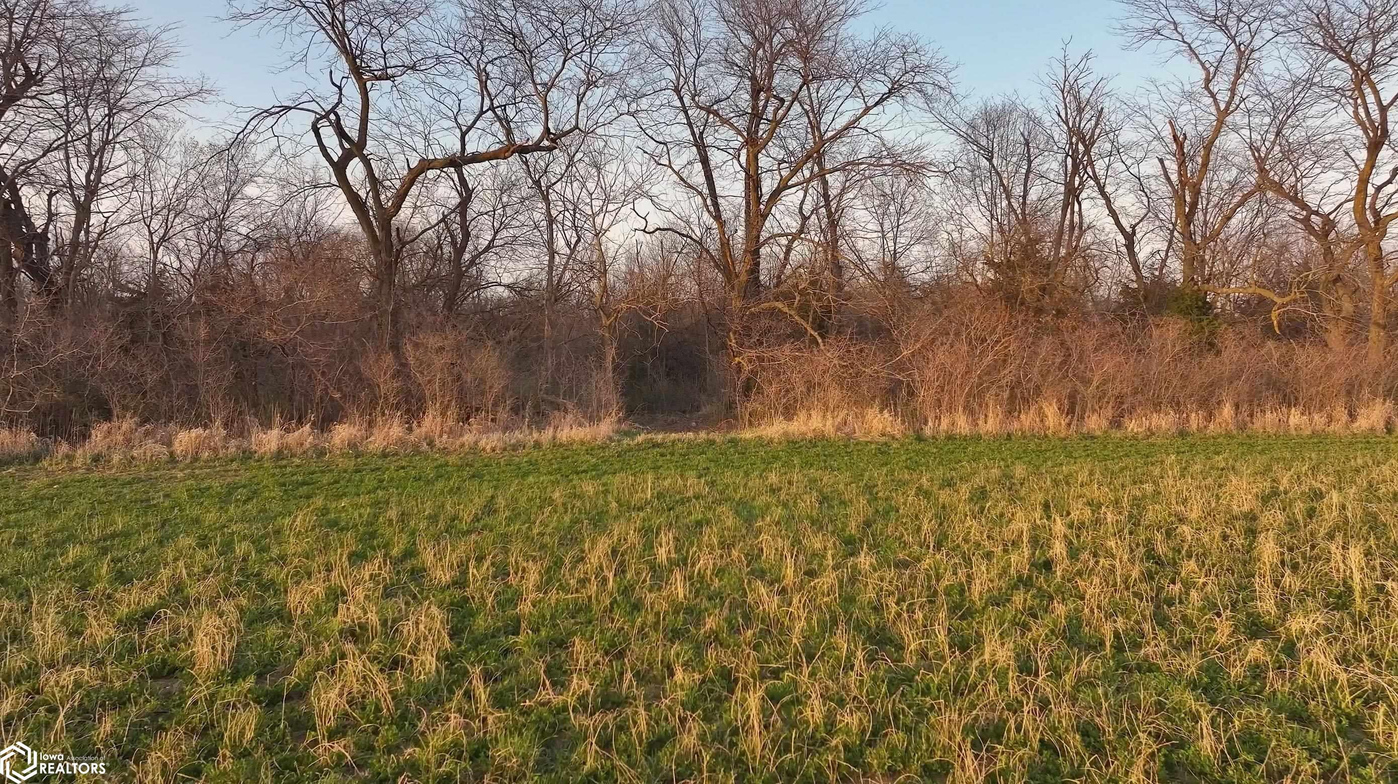 0 Whiskey Ridge Ottumwa, IA 52501 - Photo 13 of 16 Gallery Image 13