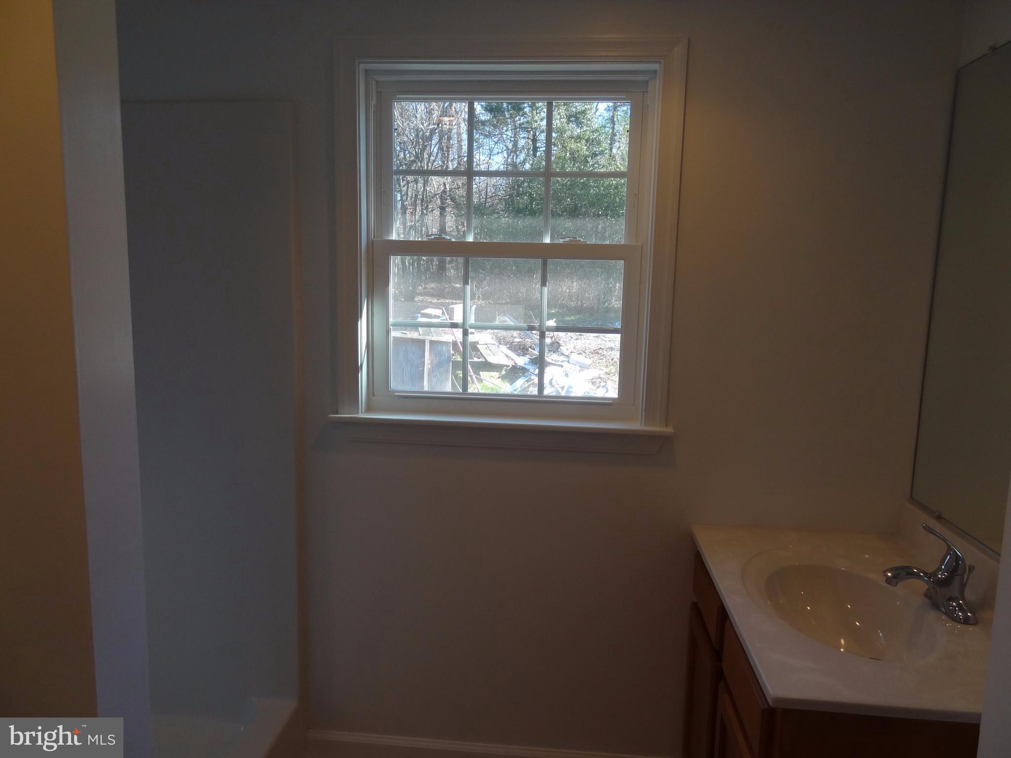 12393 Campbell Road Orange, VA 22960 - Photo 14 of 26 Bath (Master)
