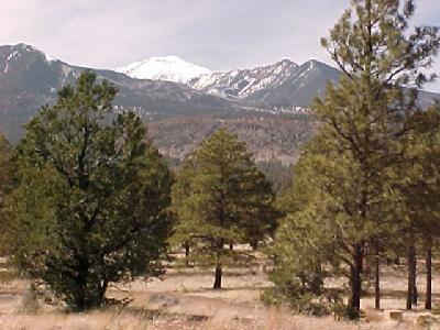 5940 Waki Road Flagstaff, AZ 86004 - Photo 3 of 31 Additional Photo
