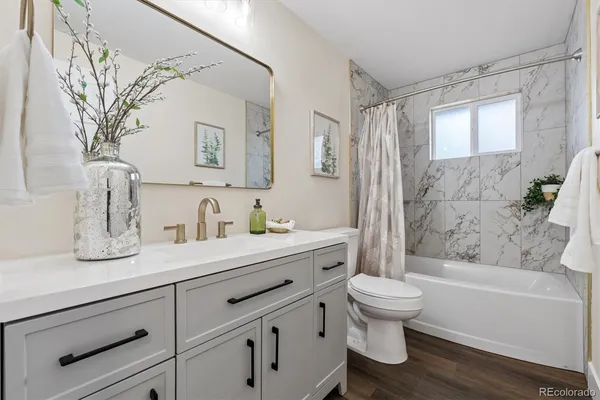 a bathroom with a sink a toilet and shower