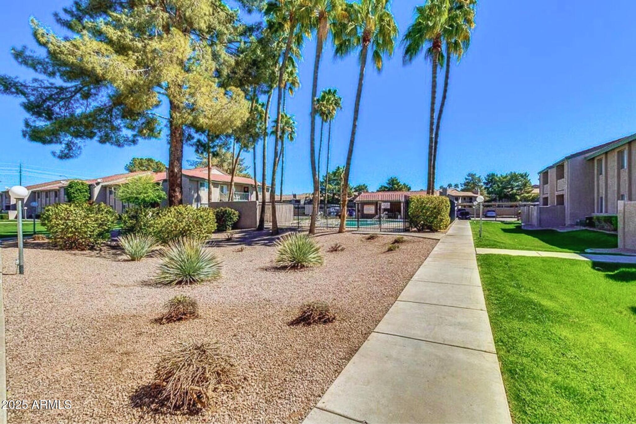 623 West Guadalupe Road, Unit 261 Mesa, AZ 85210 - Photo 22 of 24 a view of a backyard with palm trees