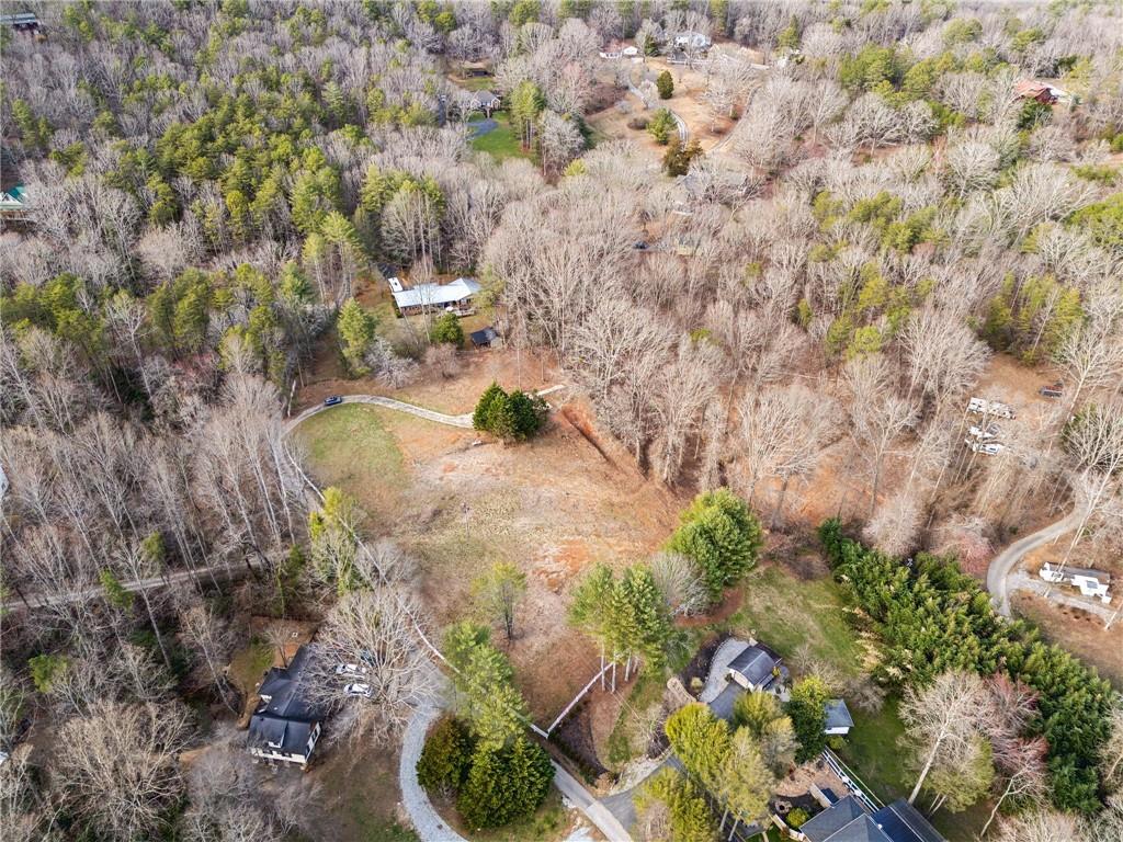 142 Smoke Rise Drive Sautee Nacoochee, GA 30571 - Photo 3 of 13