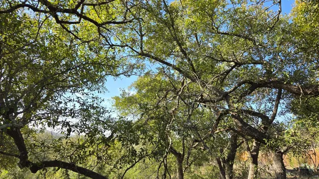 $188,000 | 7600 Tessera Parkway, Lago Vista, TX 78645