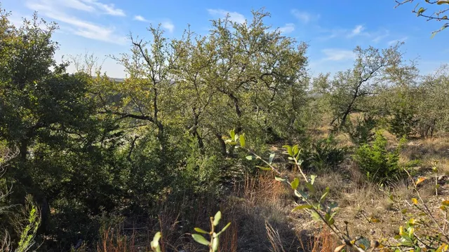 $188,000 | 7600 Tessera Parkway, Lago Vista, TX 78645