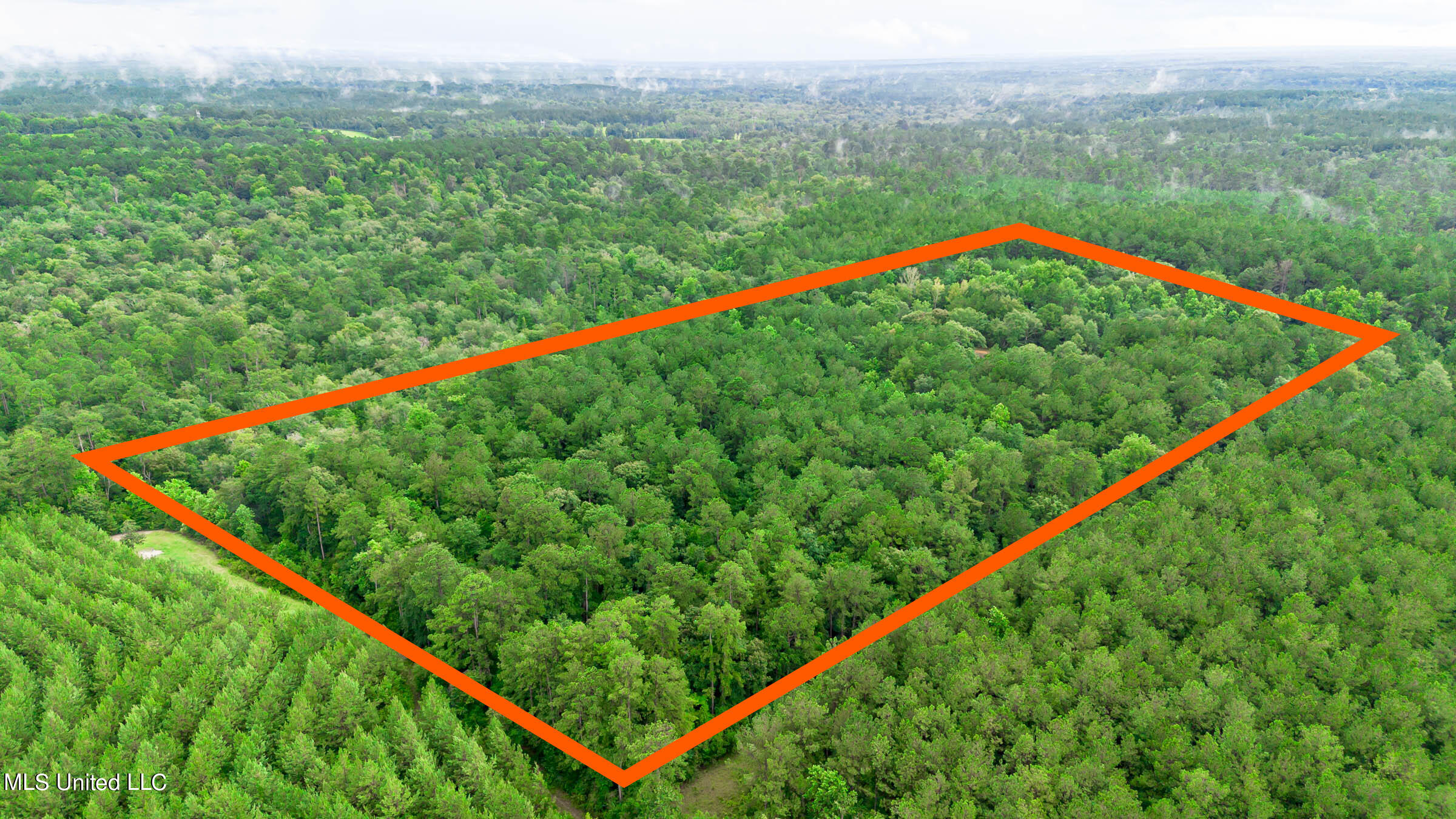 85 Otis Ladner Road Lumberton, MS 39455 - Photo 11 of 21 Otis Ladner Rd (8)