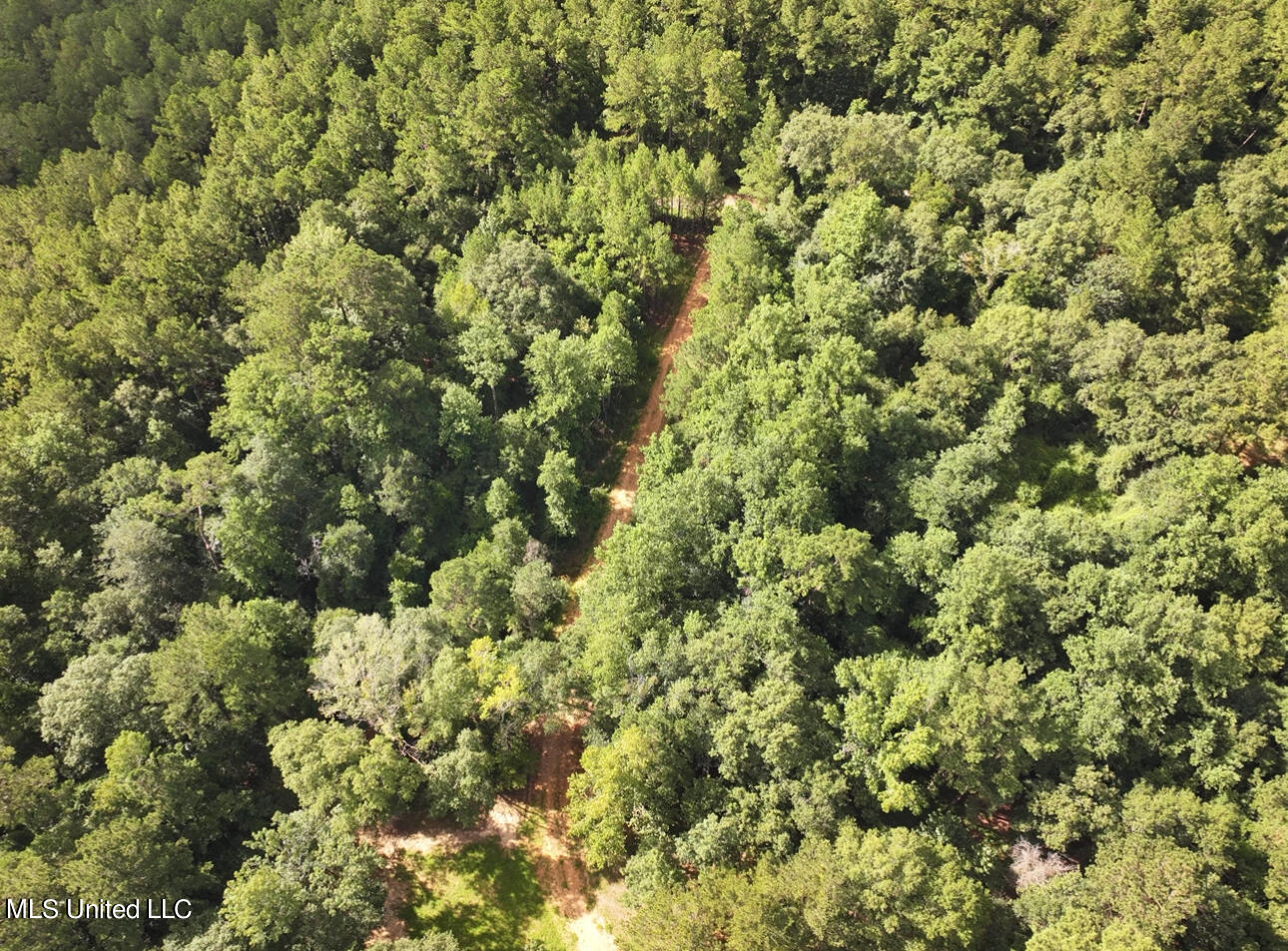 85 Otis Ladner Road Lumberton, MS 39455 - Photo 3 of 21 IMG_3662