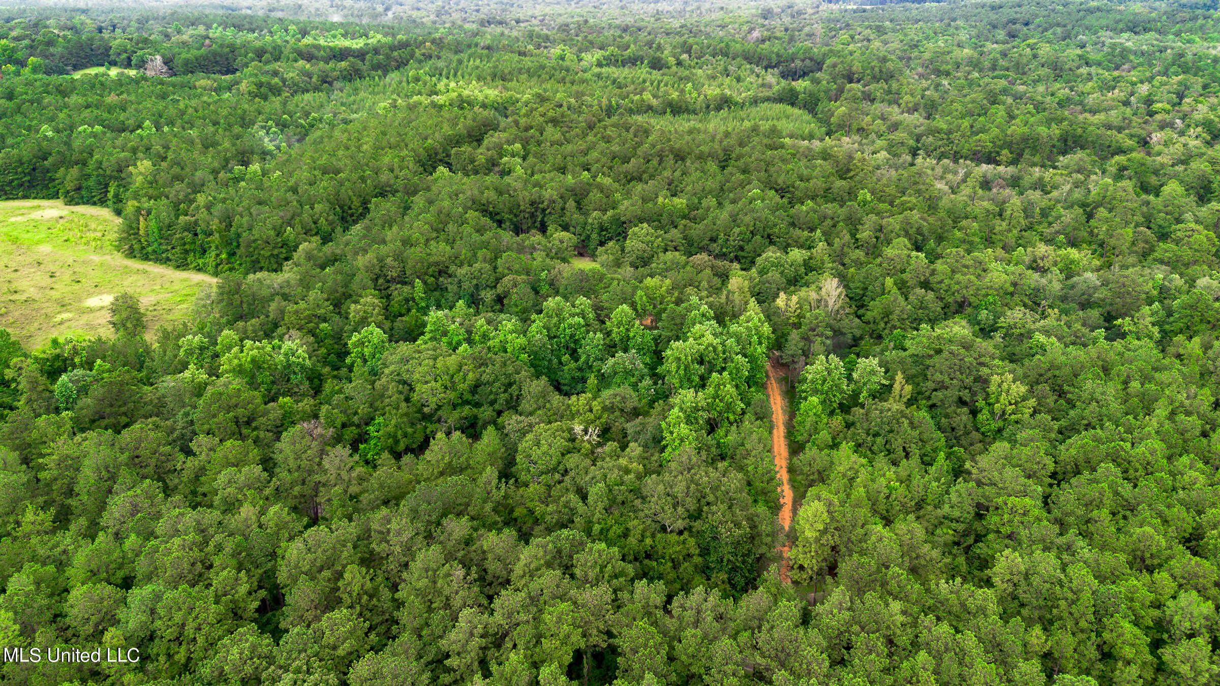 85 Otis Ladner Road Lumberton, MS 39455 - Photo 7 of 21 Otis Ladner Rd (2)