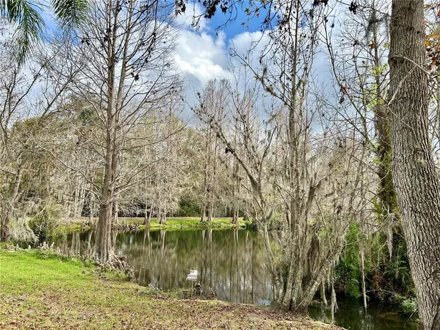 a view of lake with green space