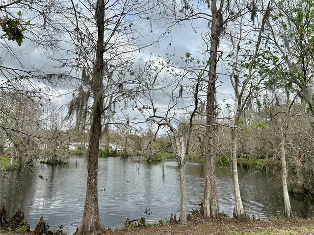 a view of a lake from a yard