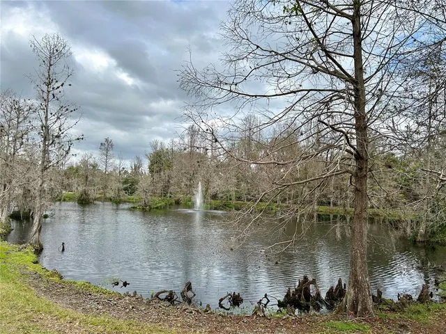 a view of a big yard with plants and large trees
