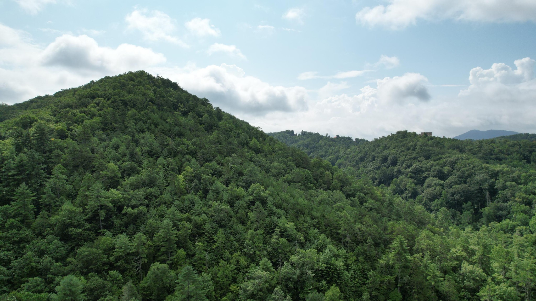 98 Black Powder Lane Sevierville, TN 37862 - Photo 21 of 30
