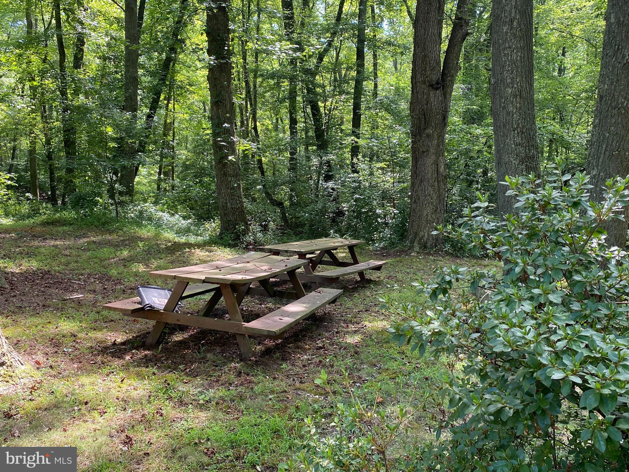 1794 Turkey Point Road North East, MD 21901 - Photo 56 of 69 Picnic area