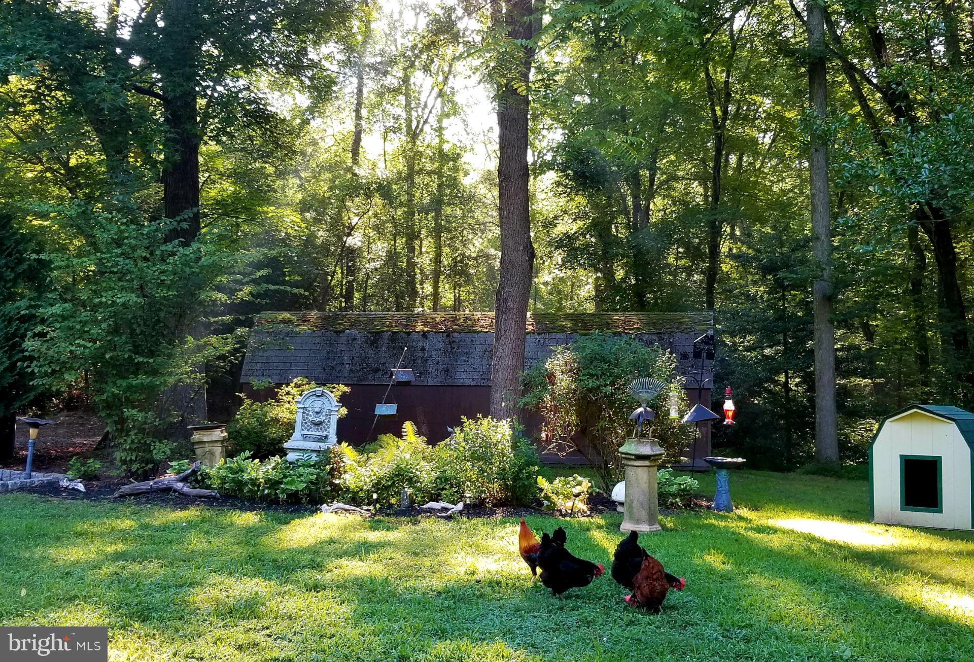 1794 Turkey Point Road North East, MD 21901 - Photo 61 of 69 Gallery Image 61