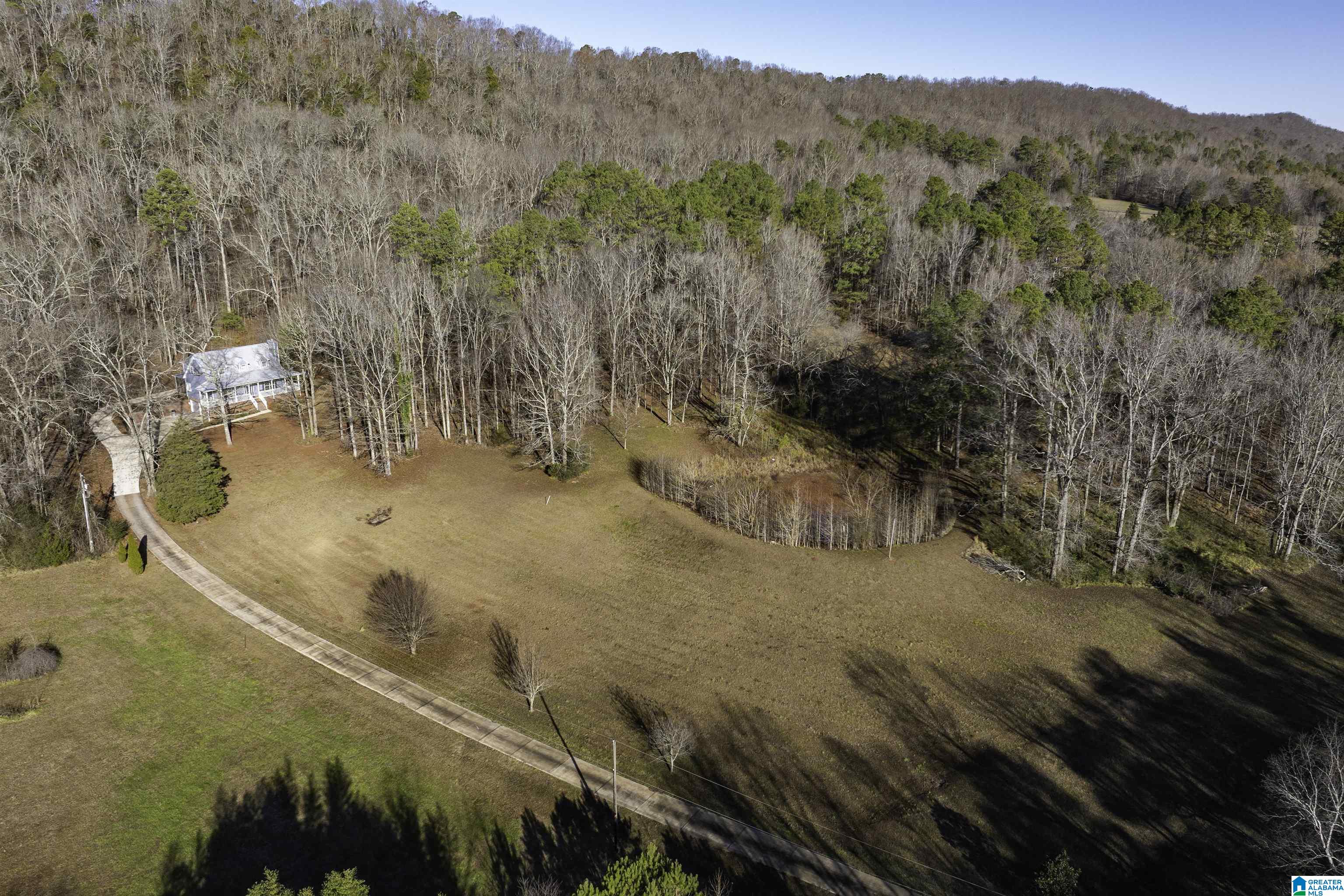 1775 Red Valley Road Remlap, AL 35133 - Photo 39 of 56