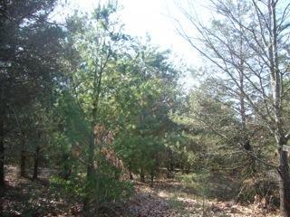 1 Pine Ridge Road Grand Haven, MI 49417 - Photo 4 of 6 Additional Photo