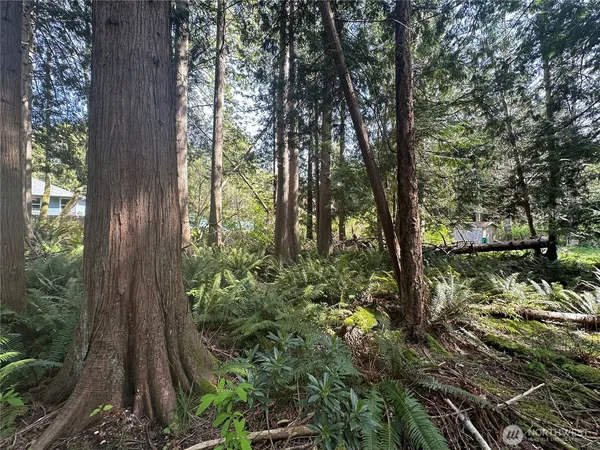 a view of backyard with green space