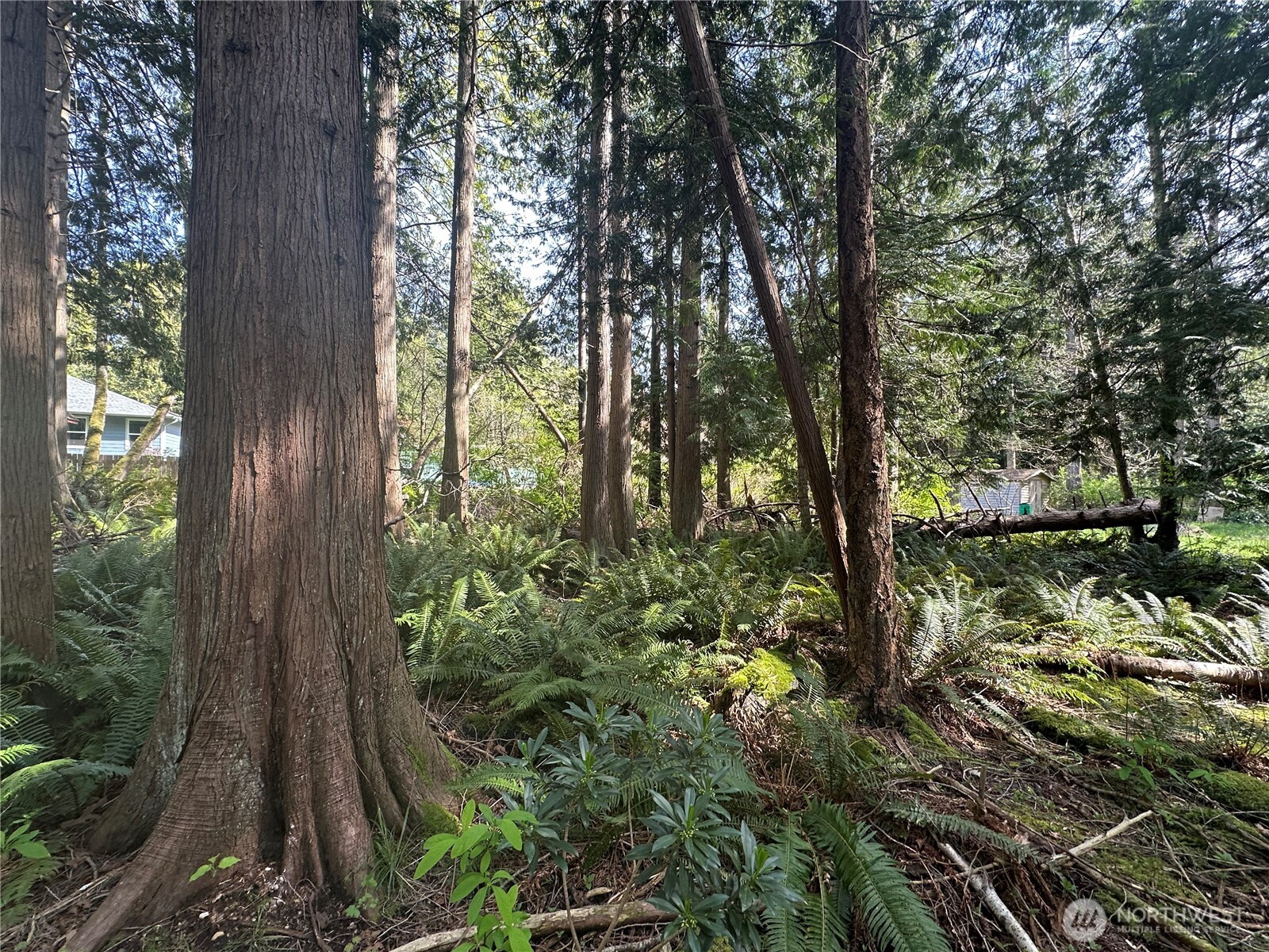 a view of backyard with green space