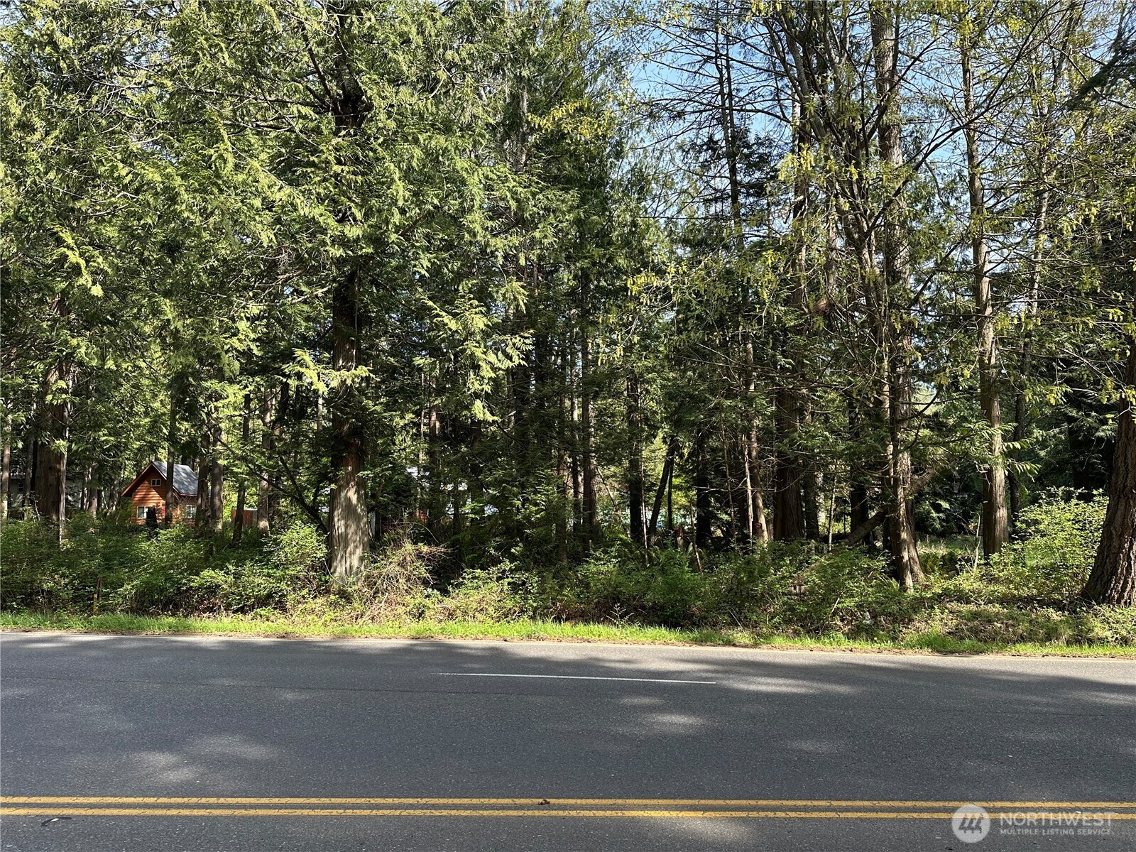 0 Lot 9 Tyee Dr Point Point Roberts, WA 98281 - Photo 2 of 10 a view of a yard
