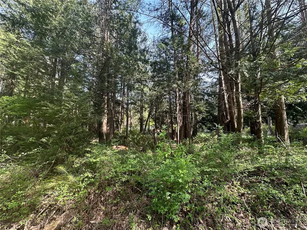 a view of outdoor space with lots of trees