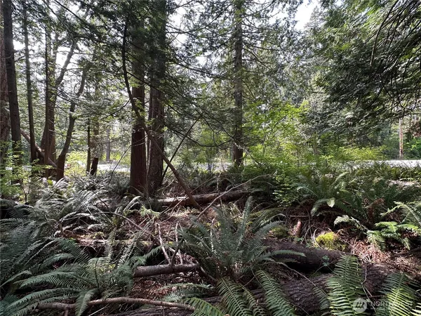 $65,900 | 0 Lot 9 Tyee Dr Point, Point Roberts, WA 98281