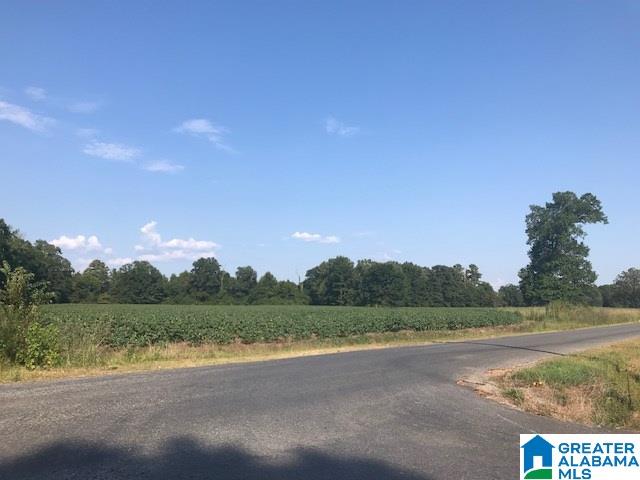 390 Limbaugh Road Sylacauga, AL 35150 - Photo 8 of 39