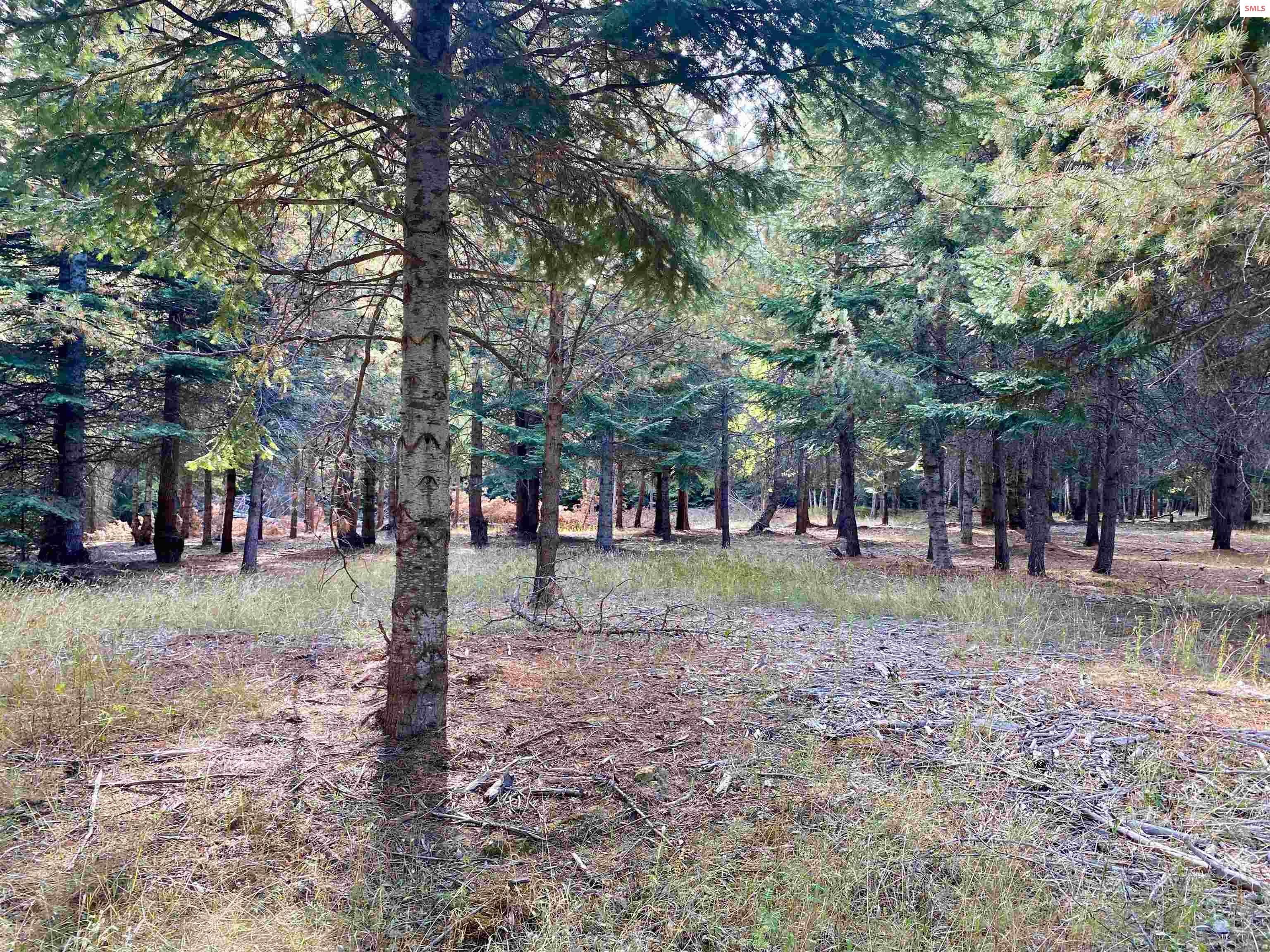 Nna Cougar Road Naples, ID 83847 - Photo 31 of 43 Gallery Image 31