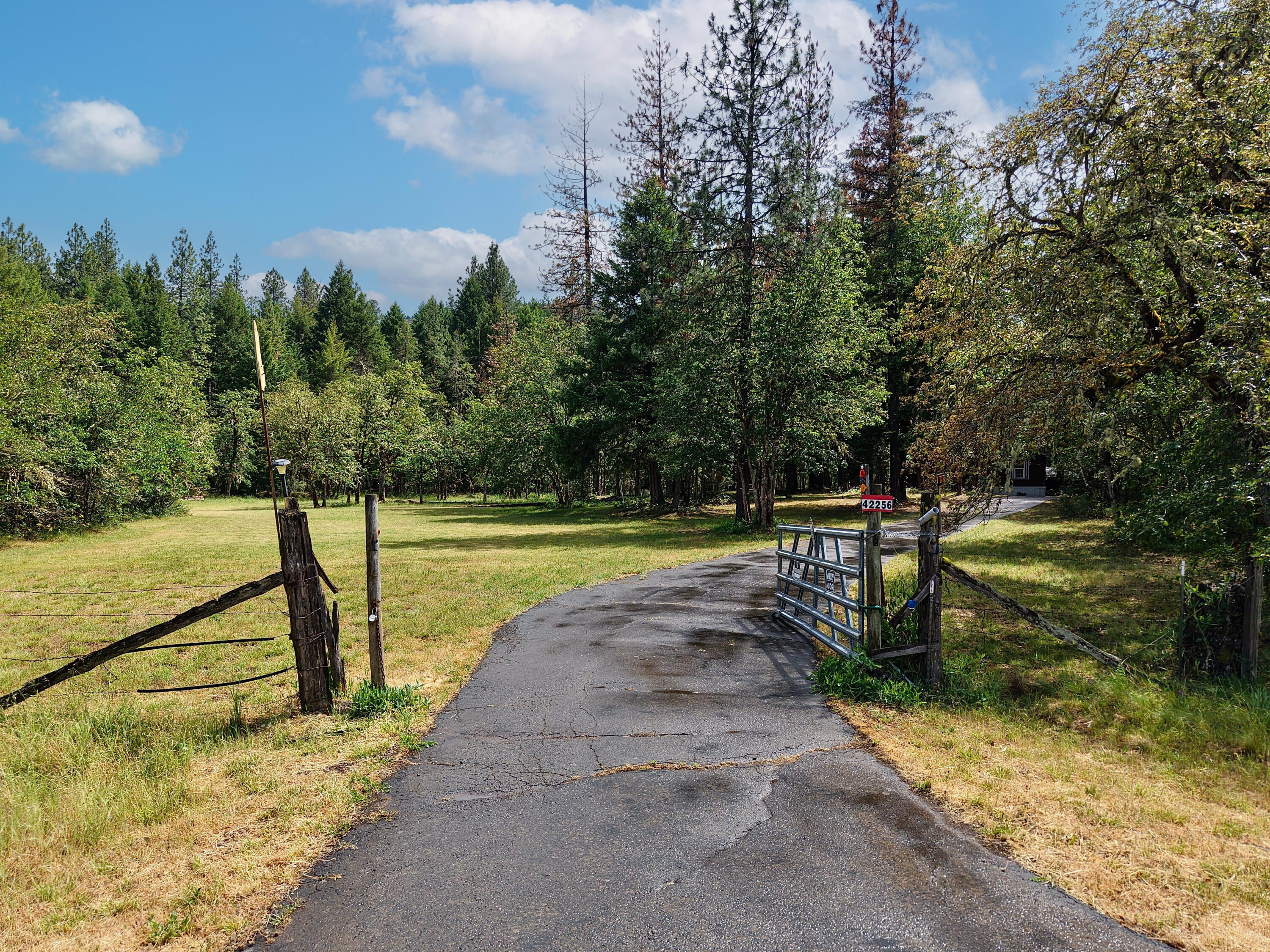 42256 Highway 62 Prospect, OR 97536 - Photo 33 of 48 a view of a swimming pool with a patio