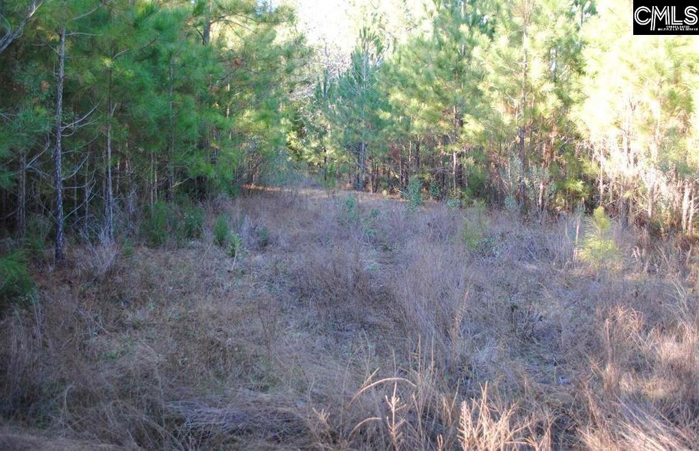 E/s Old Hilton Road Chapin, SC 29036 - Photo 6 of 6