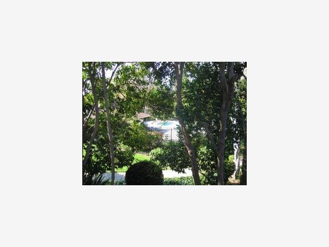 1137 Reed Avenue Sunnyvale, CA 94086 - Photo 6 of 7 a picture of a bench in a garden